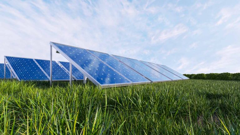 paneles solares para riego y bombeo de agua