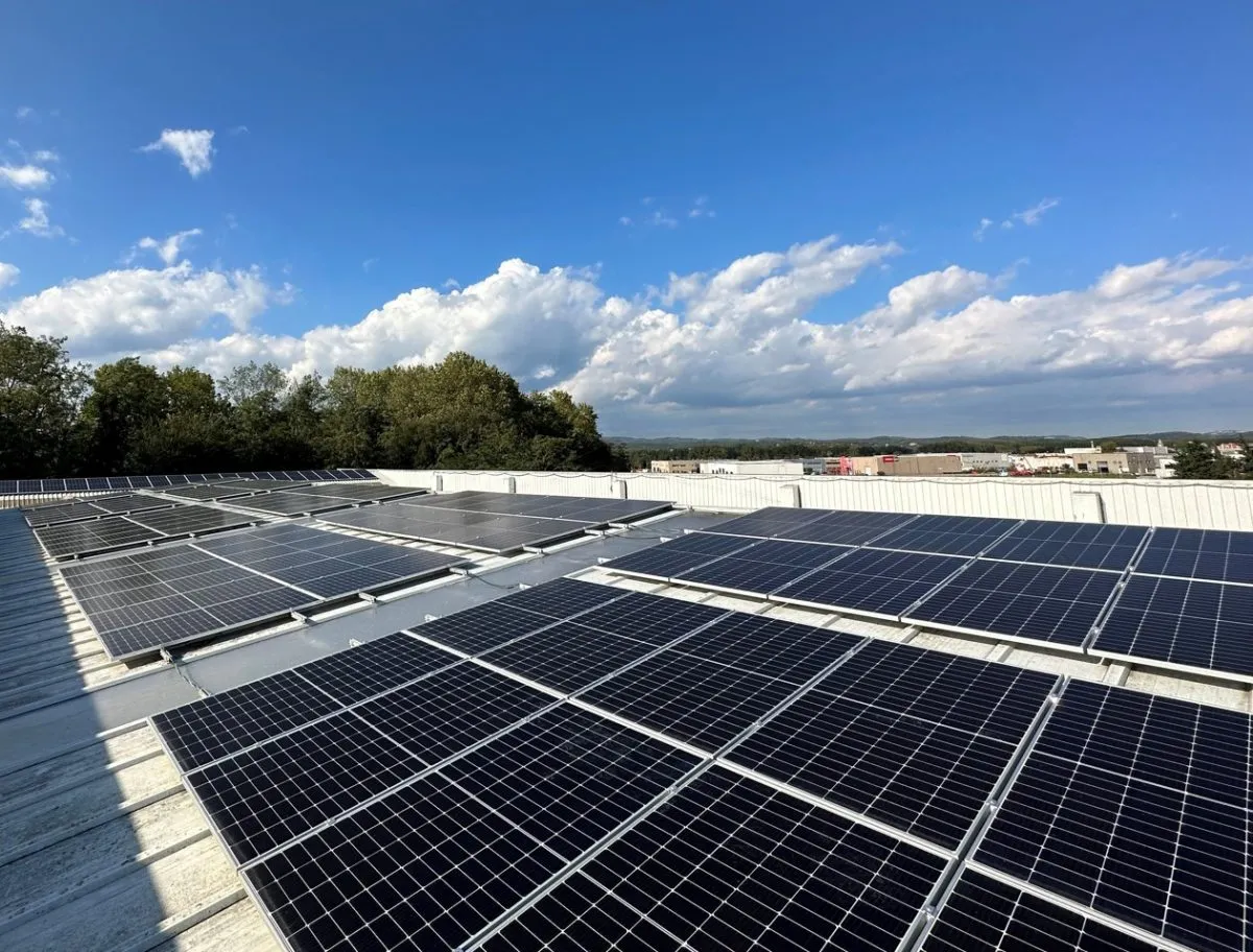 m5 web energia solar placas solares empresas